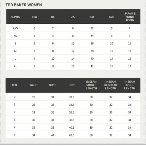 Ted Baker London Villani Zebra Print Midi Dress Size 2/S/6US - Picture 10 of 10